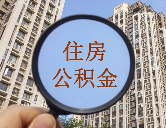 平阳公积金新政策9月1日起（公积金新政2021年7月15日起实施）